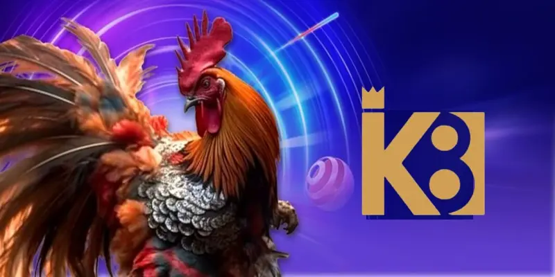 Chia nhỏ vốn cược, dừng đúng lúc khi tham gia đá gà