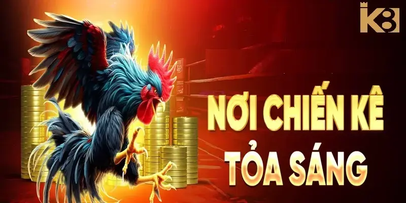 K8BET đấu trường giải trí đỉnh cao cho những anh em kê thủ